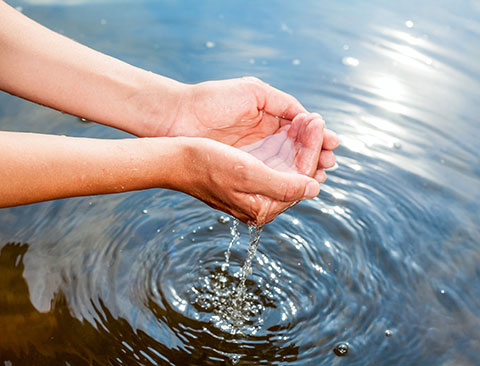 Imagen de manos sacando agua limpia de un arroyo
