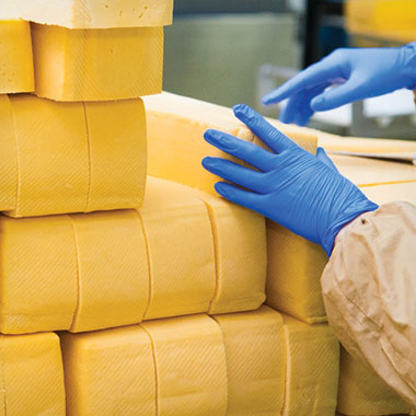 Un trabajador apila bloques de queso en una planta de productos lácteos. En el sector   lácteo, los analizadores de TOC pueden facilitar la monitorización de residuos orgánicos en el efluente y la reducción de la pérdida de producto..