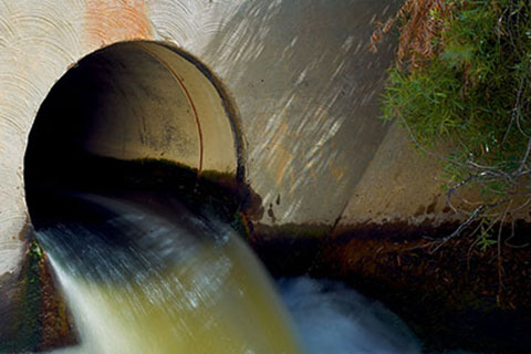 Imagen del agua de efluente de una instalación de producción de alimentos